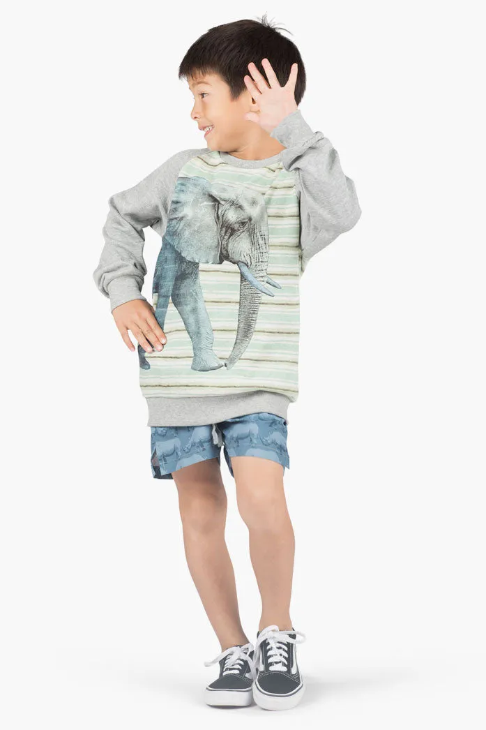 Paper Wings Elephant Boys Sweatshirt