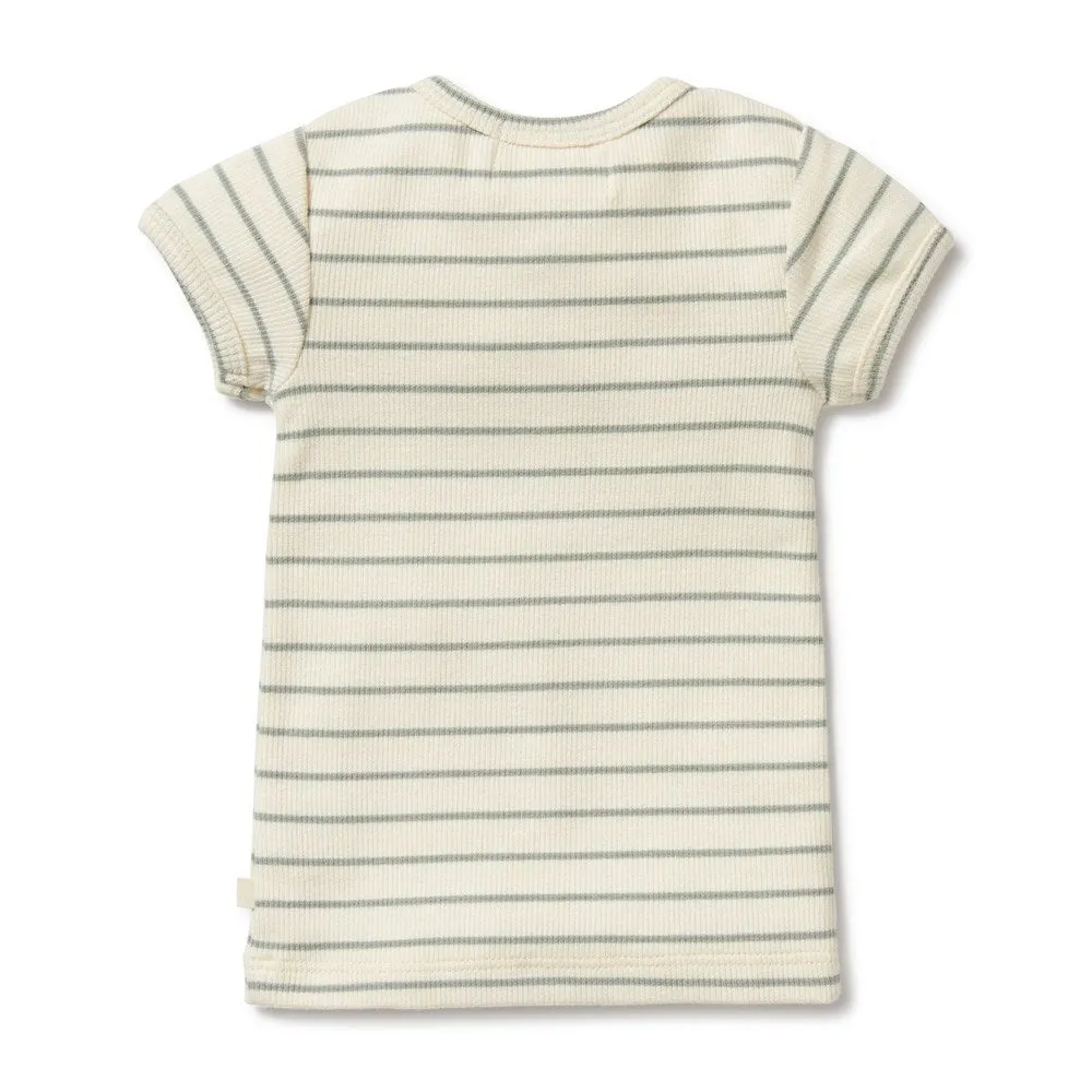 Petit Sage Organic Henley Tee